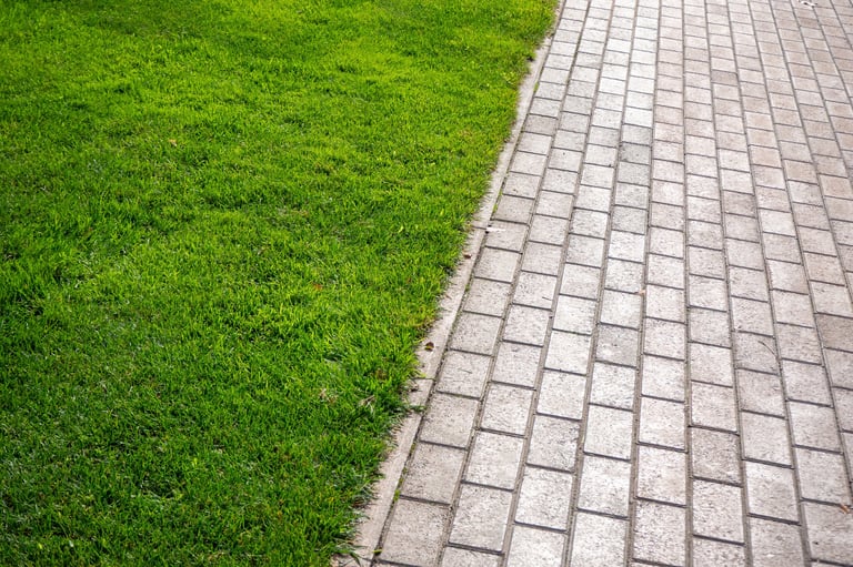 Side yard before - existing lawn area